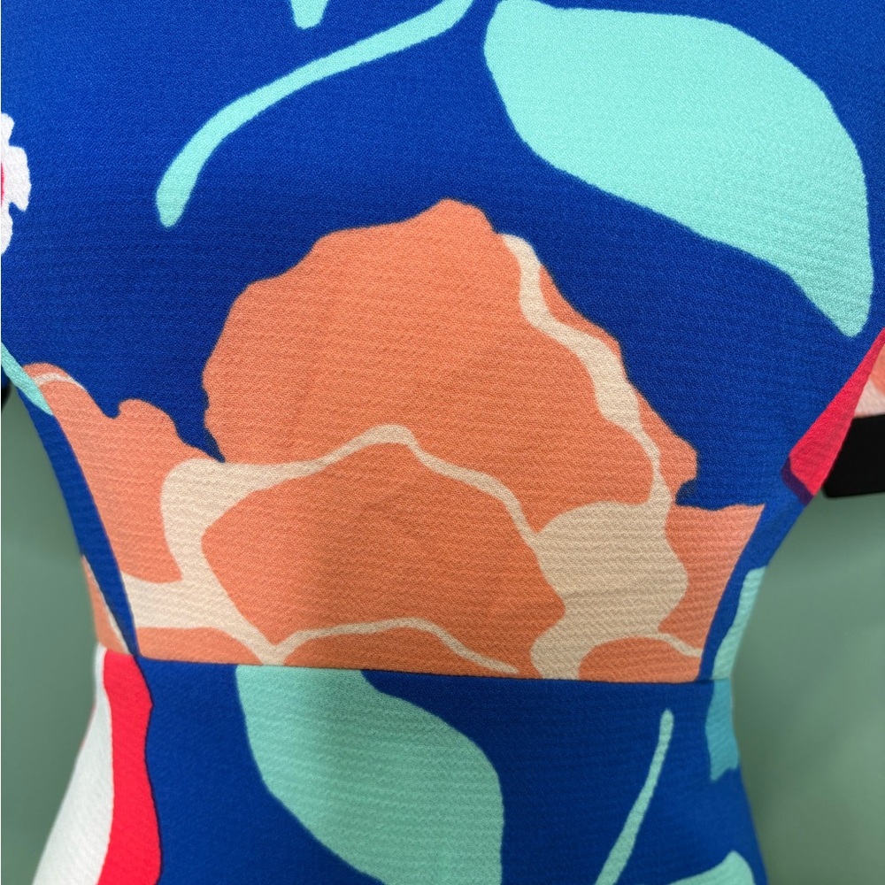 Kate Spade Blue and Red Floral Mini Dress - Picture 3 of 8